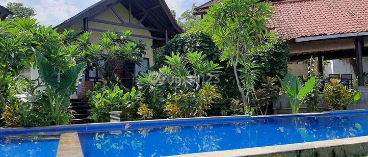 Lovina Eco Lodge Ruang Usaha 1