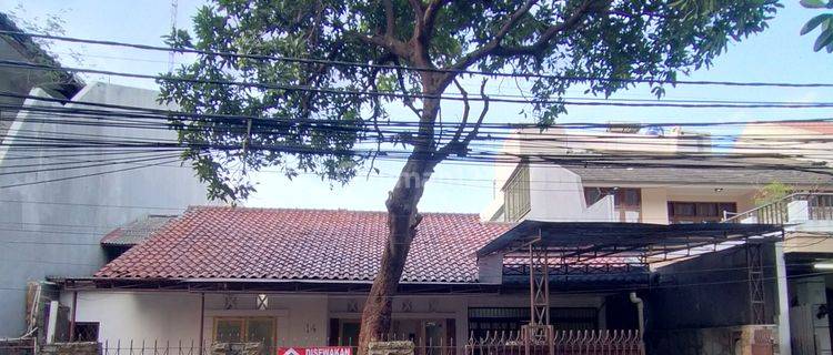 Rumah Cantik Bersih Jalan Besar Cocok Untuk Tempat Tinggal.. Kantor Dan Tempat Usaha  1