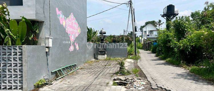 Tanah 1.085 M2 Shm View Sawah Di Canggu Brawa Bali 1