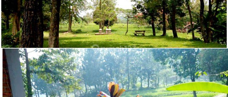 Muraah bayar tanah saja... 1