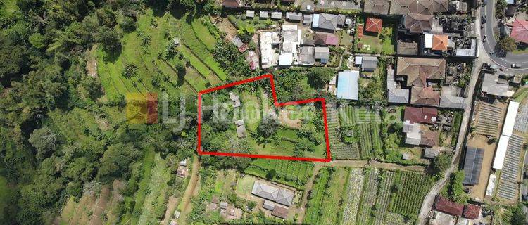 Land In Bedugul, Tabanan With Beautiful View, Suitable For Agrotourism 1