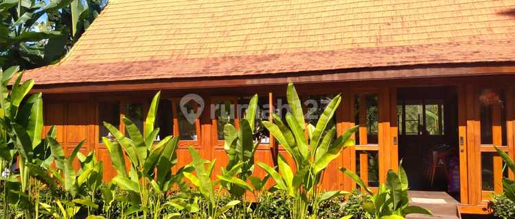 Cozy Villa For Retreat In Quiet Area Payangan Gianyar Close to Ubud 1
