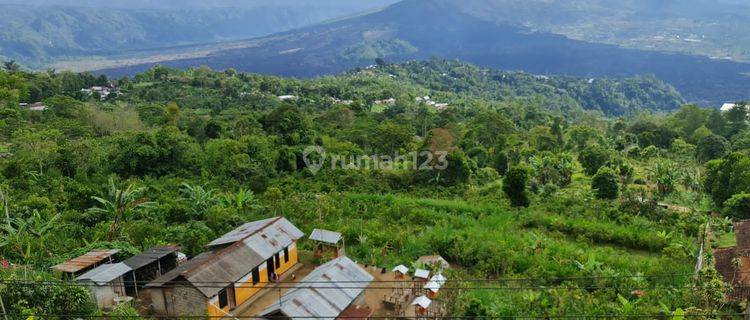 Dijual Tanah Komersial 1 Hektar di Kintamani, Bali 1