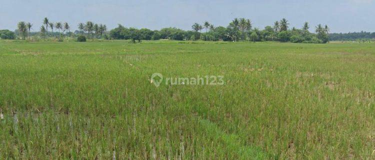 Tanah Zona Perumahan Kemiri Tangerang 7 Hektar 1