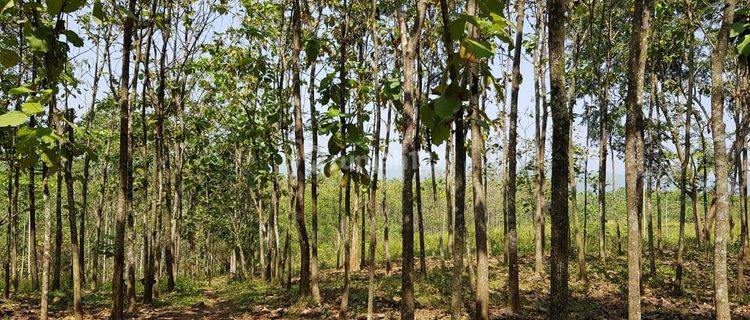 Tanah Industri Dan Pergudangan 150 Hektar Subang Jawa Barat 1