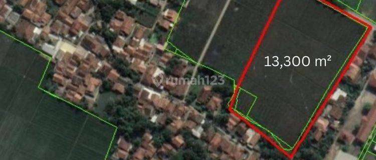 Tanah Sawah 1,3 Hektar Jati Baru, Karawang 1