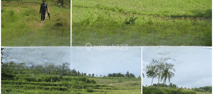 Di Jual Tanah Seluas 46,000 M2, Bayah, Lebak, Banten 1