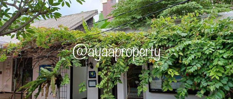 Properti Cocok Usaha Butik Showroom 1