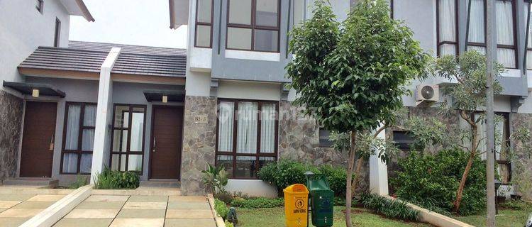 Rumah Disewakan Avani Nitaya Bsd City Bagus & Rapi 1