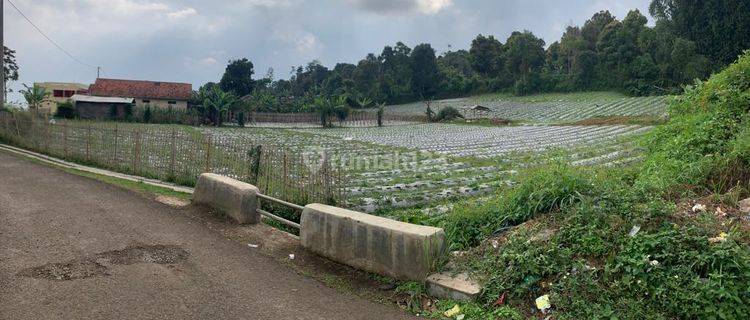 Tanah Siap Bangun di Cisarua, Lembang Bandung, Jawa Barat 1