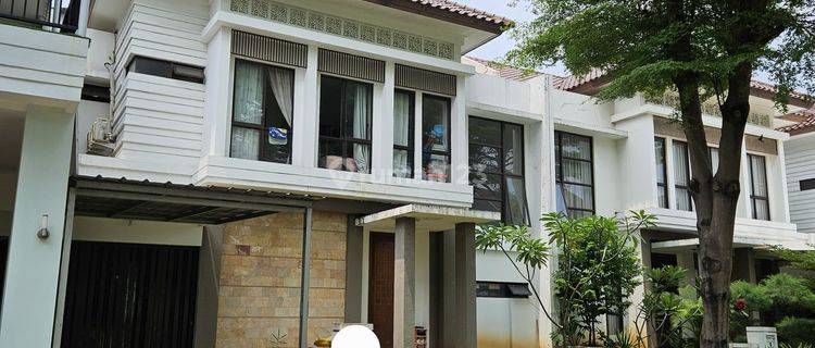 Disewakan Rumah Di Sutera Jingga Alam Sutera  1