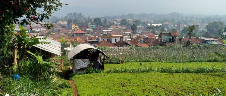 Dijual CEPAT Lahan Seluas 10.620 di Lembang Bandung 1