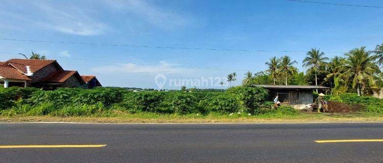 Tanah Strategis Murah Tepi Jl. Deandels Barat Bandara Baru Nyia 1