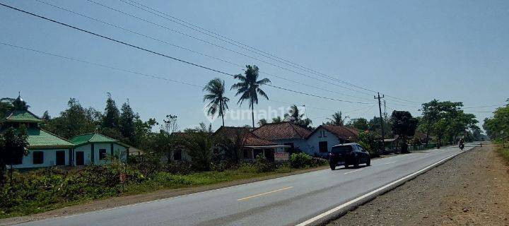 Dekat Wisata Pantai Glagah 1