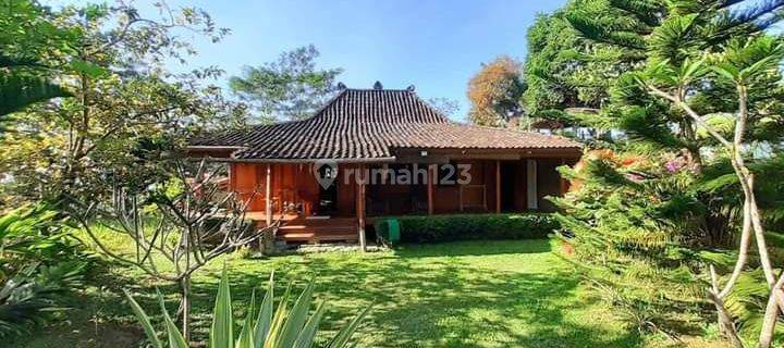 Dijual Villa + Restaurant Wisata Nepal Van Java 1