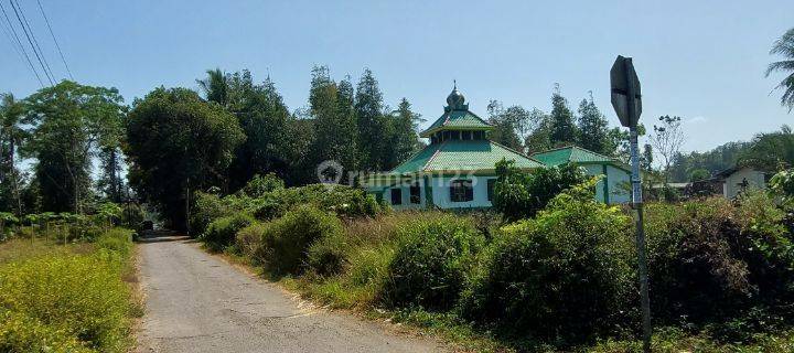 Tanah Strategis Murah di Purworejo Dekat Kota Wates 1