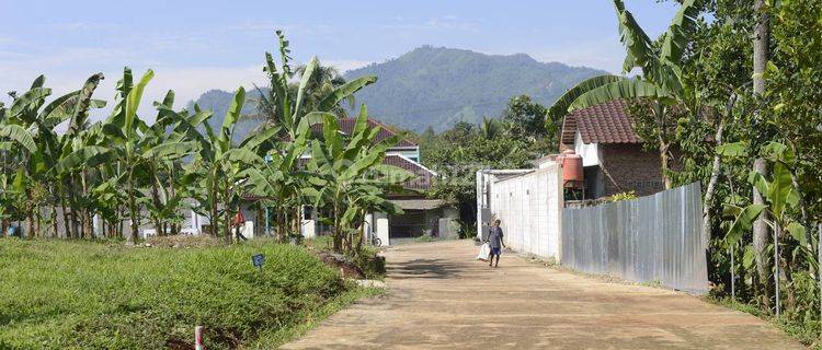 Tanah Murah di Puncak Dua Cocok Untuk Investasi 1