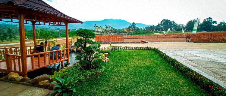 Dijual Tanah di Puncak Bogor, Bogor SHM 100 m² 1