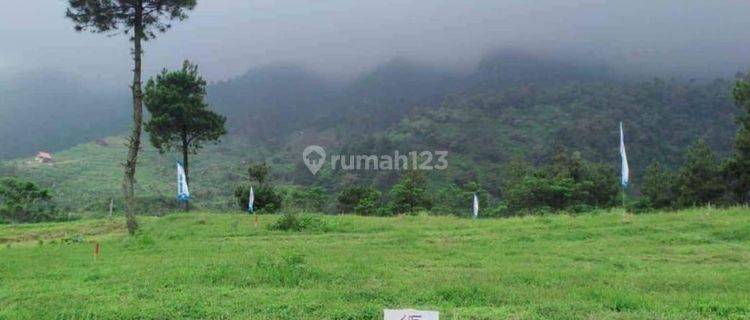 Tanah Kavling Desa Wisata Panoramic Highland Puncak 1000 Mdpl 1