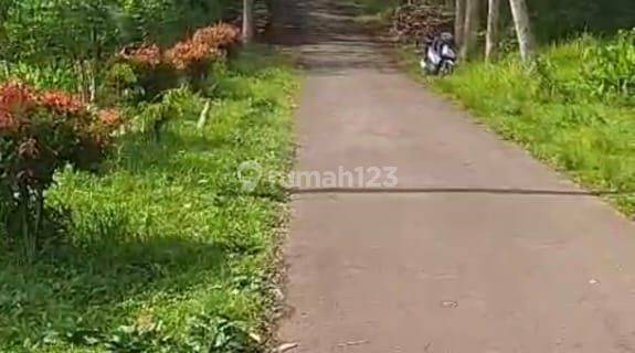 Tanah Siap Olah Lokasi Ds Losari Kab Grabag Dekat Kopeng 1