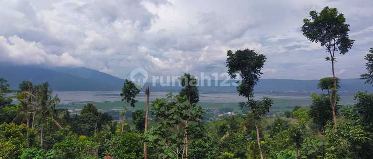 Tanah View Rawa Pening dan Gunung Lokasi Ds Lopait Tuntang 1