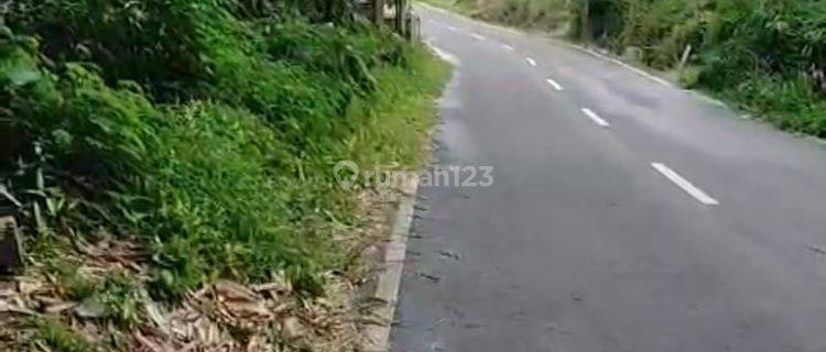 Tanah Pinggir Jalan Provinsi Ds Mangun, Pakis Kab Magelang Dekat Kopeng 1