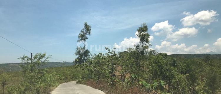 Tanah di Desa Kalijambe, Kec Beringin Kabupaten Semarang 1