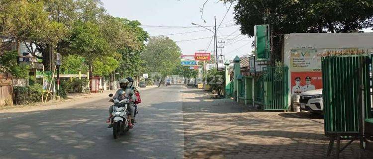 Rumah Dan Usaha Apotek Kembangarum Mranggen 1