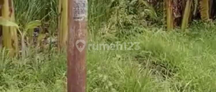 Ready-to-Process Land on Gebangsari Street, Genuk Semarang 1