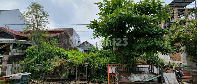 Tanah di Puri Anjasmoro 256.0 M² SHM 1