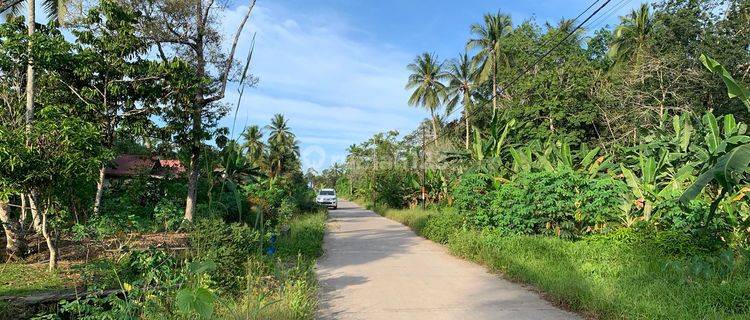 Tanah sisi jalan inpres balik papan kutai 1