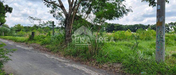 Tanah Jogja Dijual Murah Mlati Sleman 1