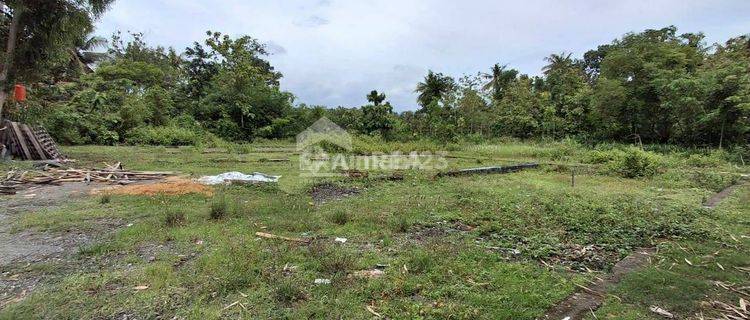 Tanah Jogja Dijual Sentolo Kulon Progo Dekat Kampus Pgri Wates 1