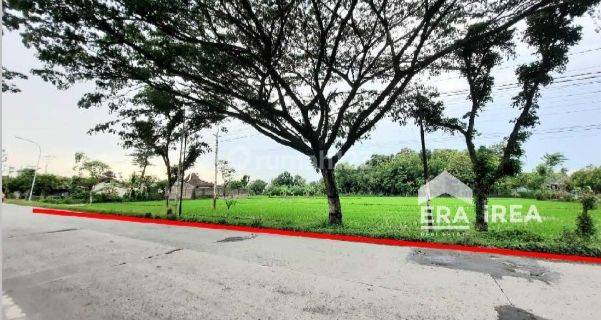 Tanah Murah Sragen Cocok Untuk Gudang Zona Kuning 1