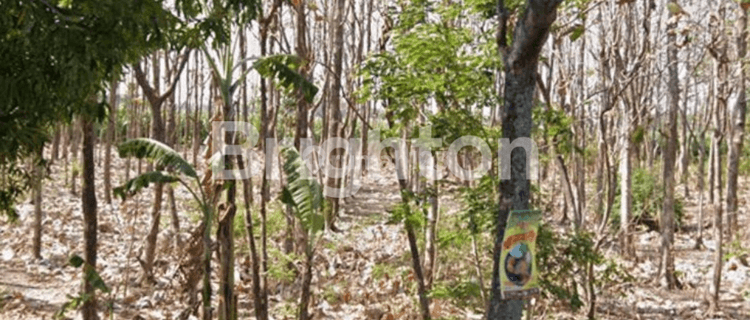 1.7M JUAL TANAH DI KOTA NGANJUK JAWA TIMUR 1