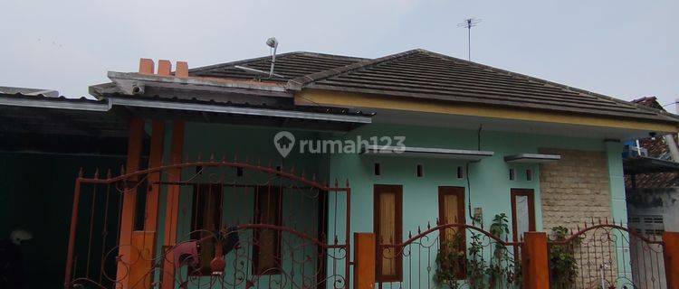 Dikontrakkan Rumah Di Balecatur Gamping, Timur Persis Ciputra 1