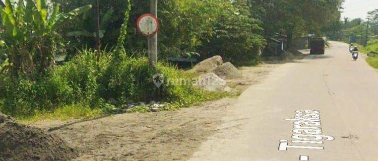 Dijual Tanah di Raya Citeras Maja, Serang, Banten 1