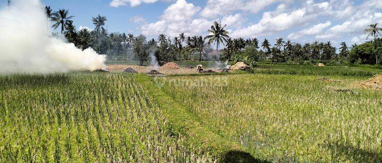 Lokasi Strategis Di Cocok Untuk Cluster Atau Kavlingan 1