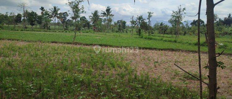 LAHAN MURAH DI DEPAN RS QOMARUL HUDA 1