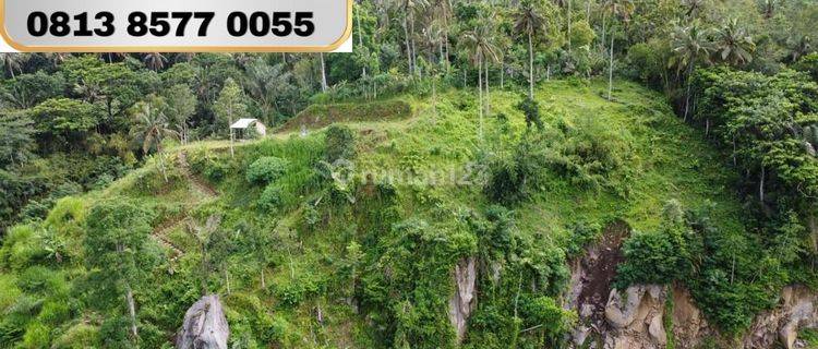 TANAH DIATAS BUKIT MURAH DAN VIEW BAGUS DI BALI. 1