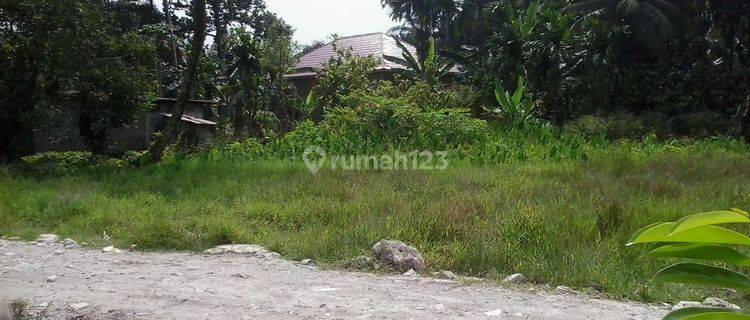Tanah SHM Strategis Untuk Perumahan Di Batang Anai 1