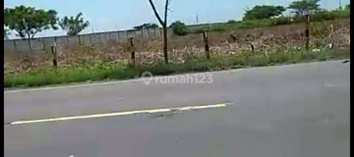 Tanah Industri Widang Tuban, Cocok Utk Industri Keramik, Batu Kapur, Genteng, Gypsum, Pupuk, Dll 1