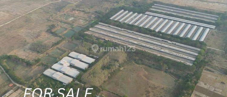 Lahan Atau Tanah 54 Ha di Pabuaran Subang Sebagai Kawasan Industri Legalitas Shgb Perusahaan 1