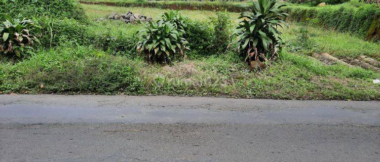 Tanah darat pinggir jalan cocok untuk ruko dan perumahan  1