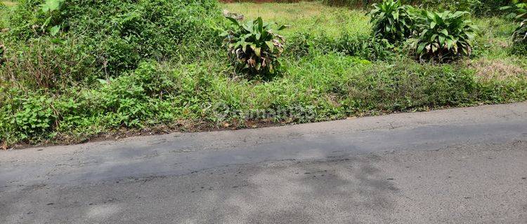 Tanah darat pinggir jalan raya cocok untuk semua usaha 1