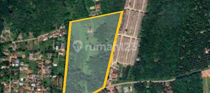 Dijual Lahan Kebun di Air Batu Talang Kelapa Banyuasin 1