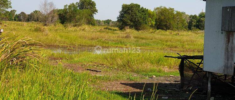 DIJUAL TANAH PINGGIR JALAN LINTAS PALEMBANG – INDRALAYA OGAN ILIR 1