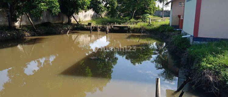 DIJUAL TANAH + 8 KOLAM IKAN PLUS RUMAH JALAN TAQWA MATA MERAH PALEMBANG 1