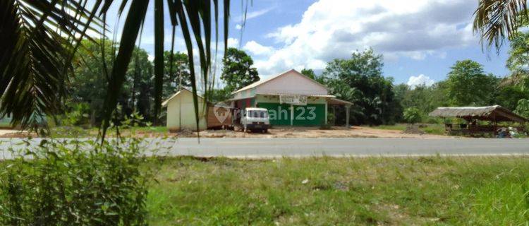 Dijual Lahan Kebun Sawit Siap Panen Tanjung Api Api Banyuasin 1