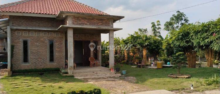 DIJUAL TANAH LUAS + RUMAH TANAH MAS SUKAMORO BANYUASIN 1